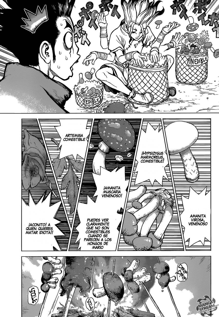 Read Dr. Stone es Manga Online