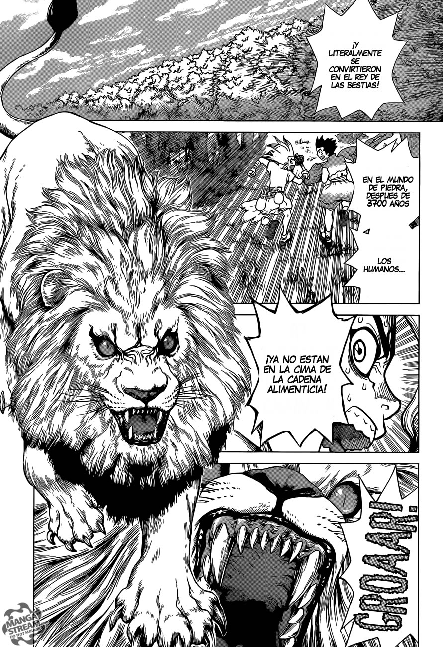 Read Dr. Stone es Manga Online