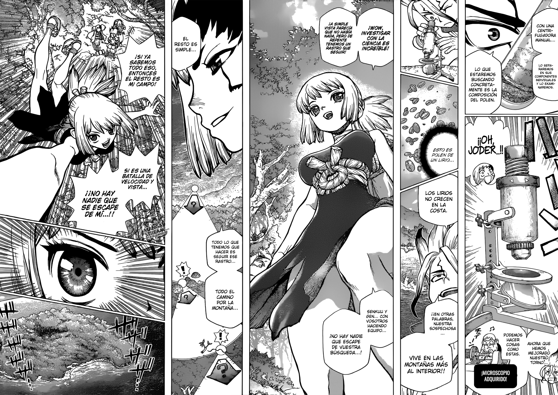 Read Dr. Stone es Manga Online