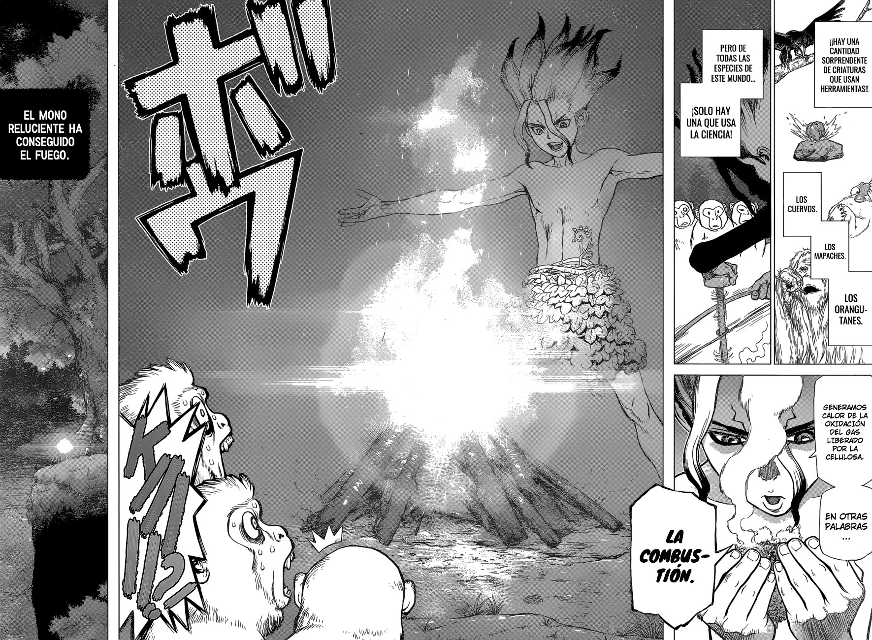 Read Dr. Stone es Manga Online