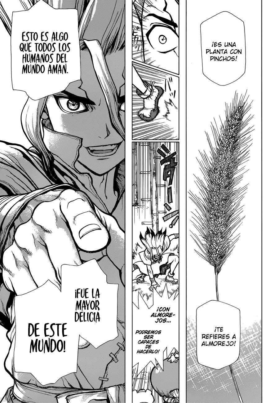Read Dr. Stone es Manga Online