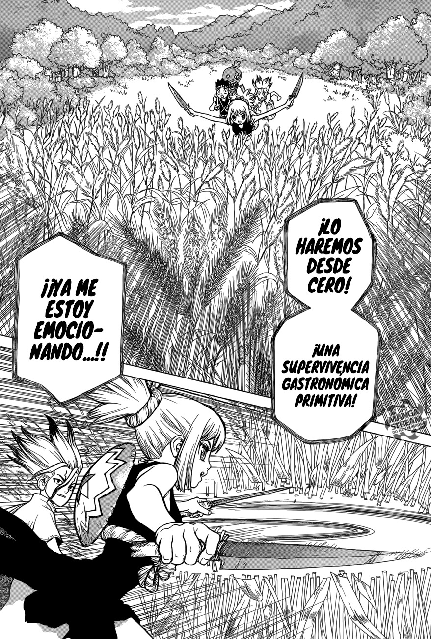 Read Dr. Stone es Manga Online