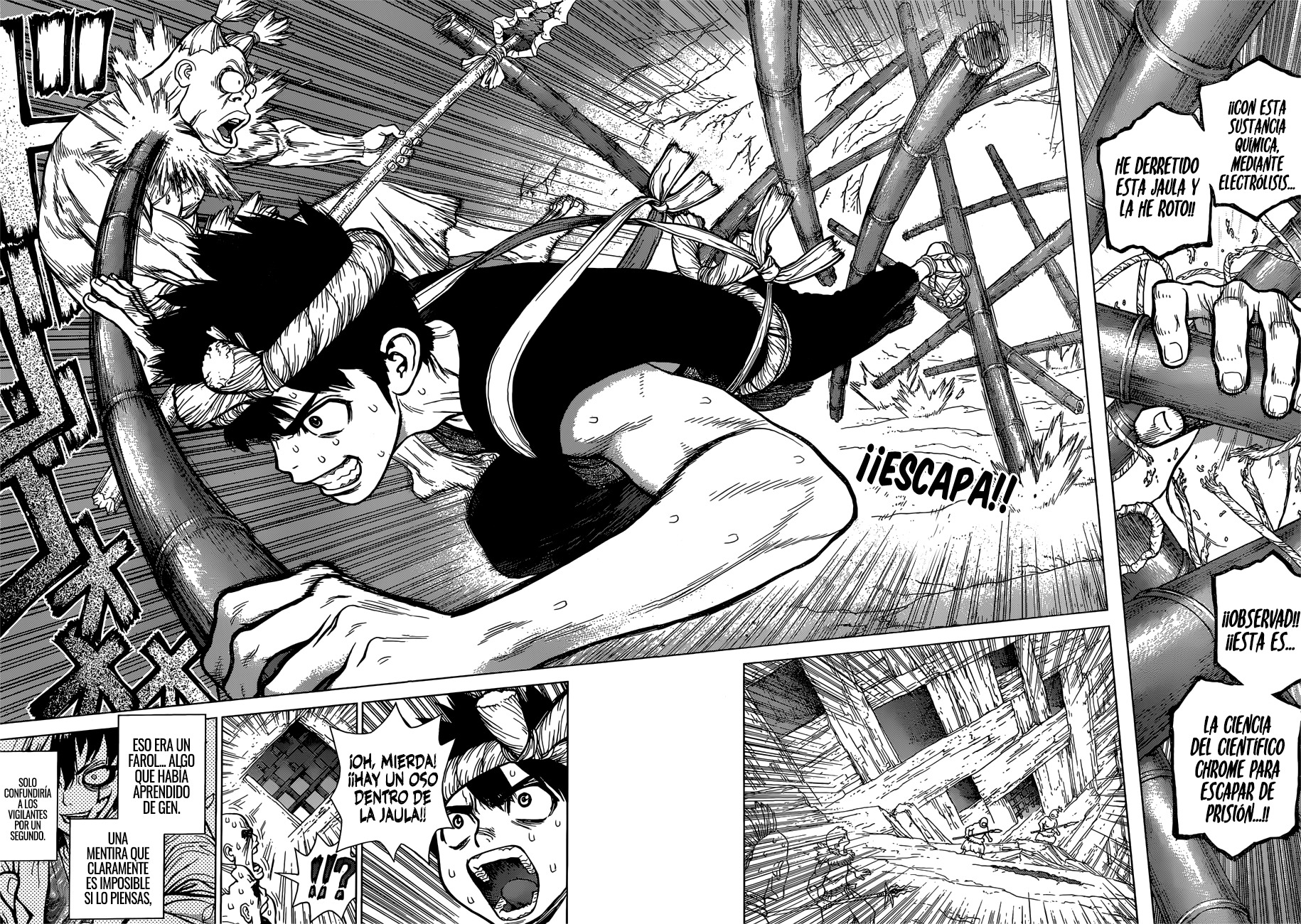 Read Dr. Stone es Manga Online