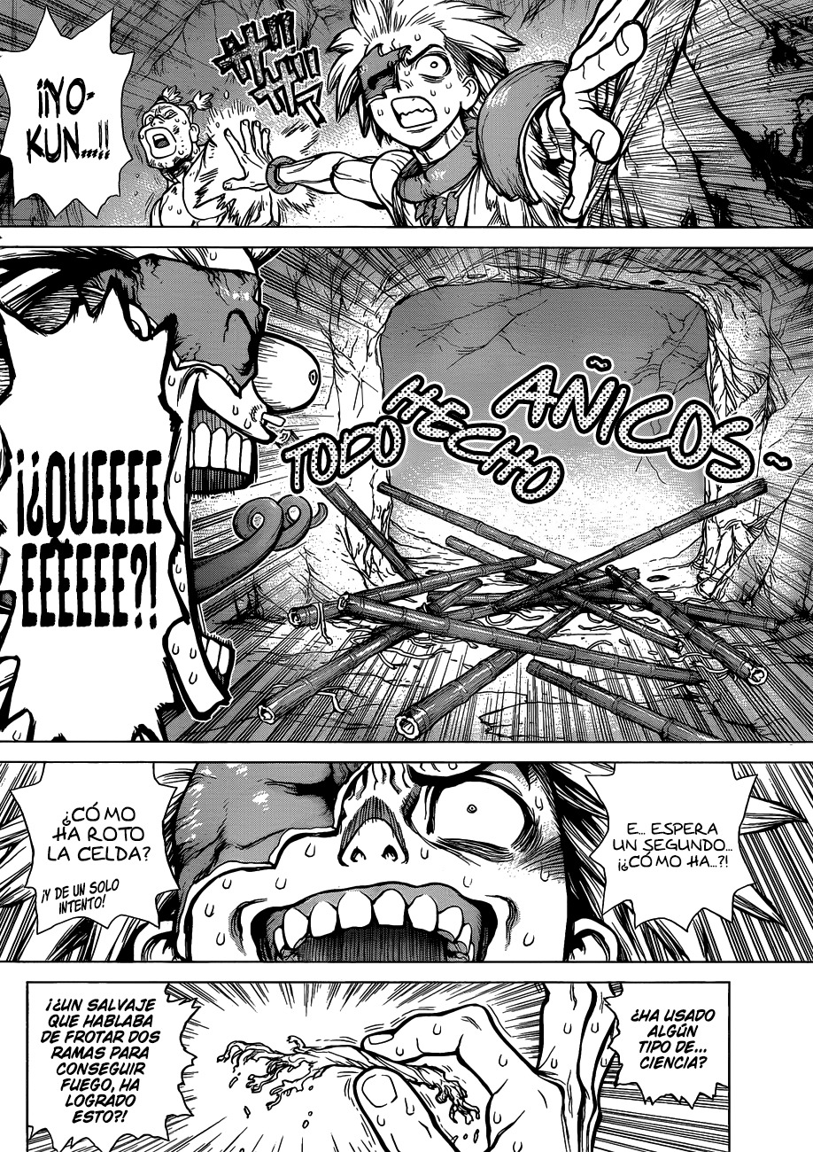 Read Dr. Stone es Manga Online