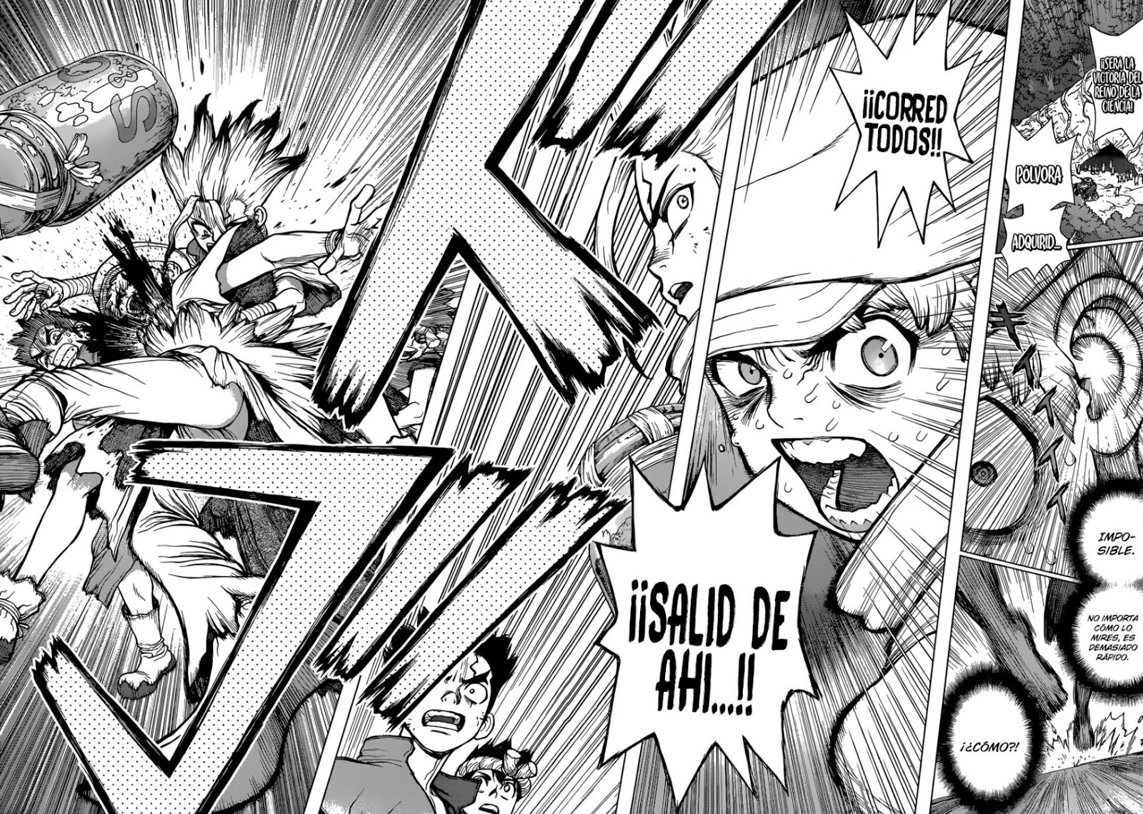 Read Dr. Stone es Manga Online