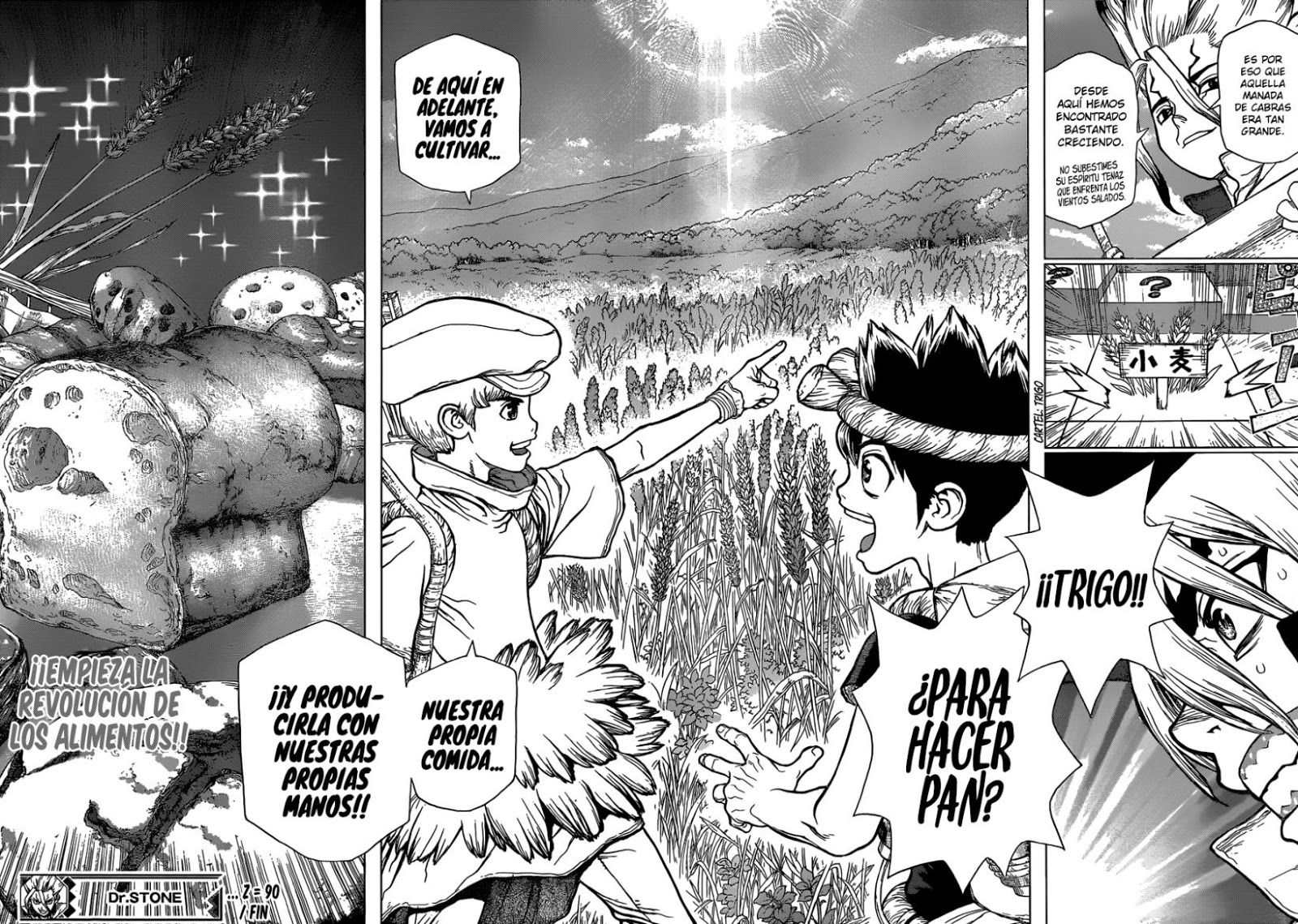 Read Dr. Stone es Manga Online