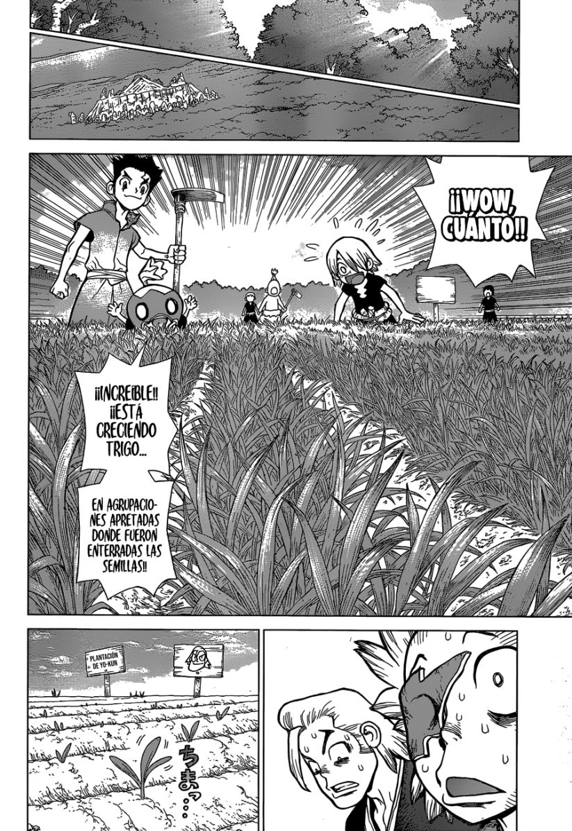 Read Dr. Stone es Manga Online