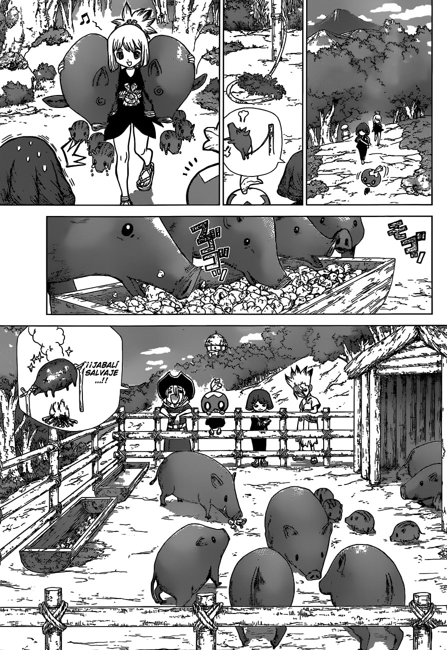 Read Dr. Stone es Manga Online