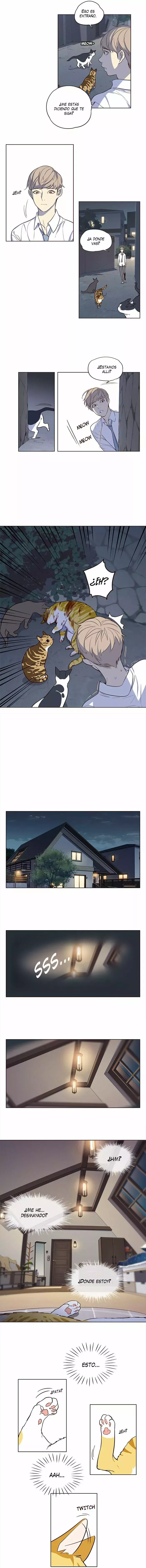 Read Electricidad veloz es Manga Online