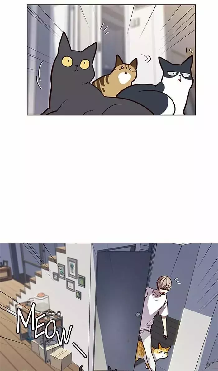 Read Electricidad veloz es Manga Online