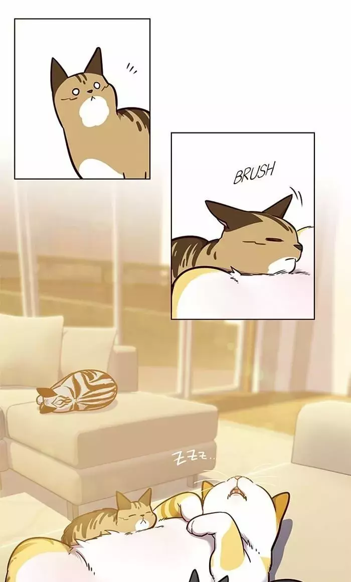 Read Electricidad veloz es Manga Online