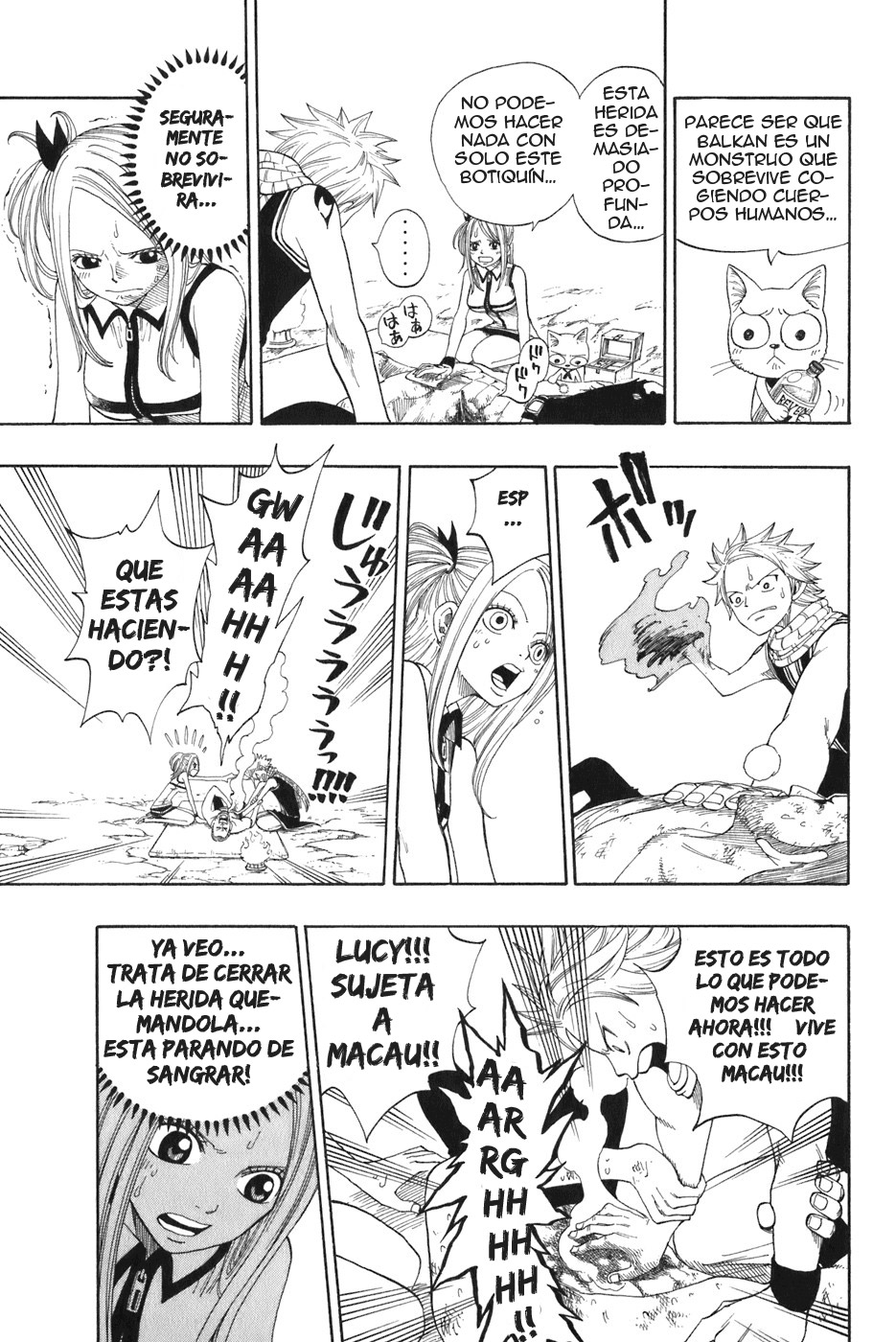 Read Fairy Tail es Manga Online