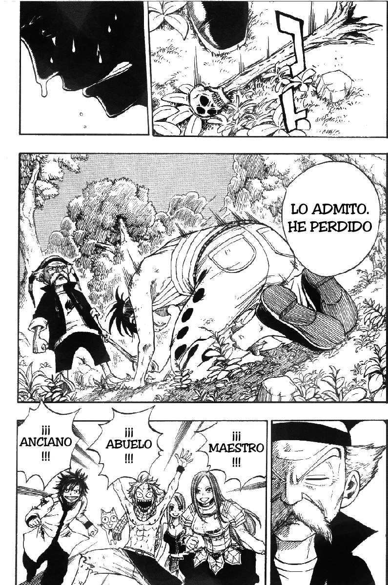 Read Fairy Tail es Manga Online