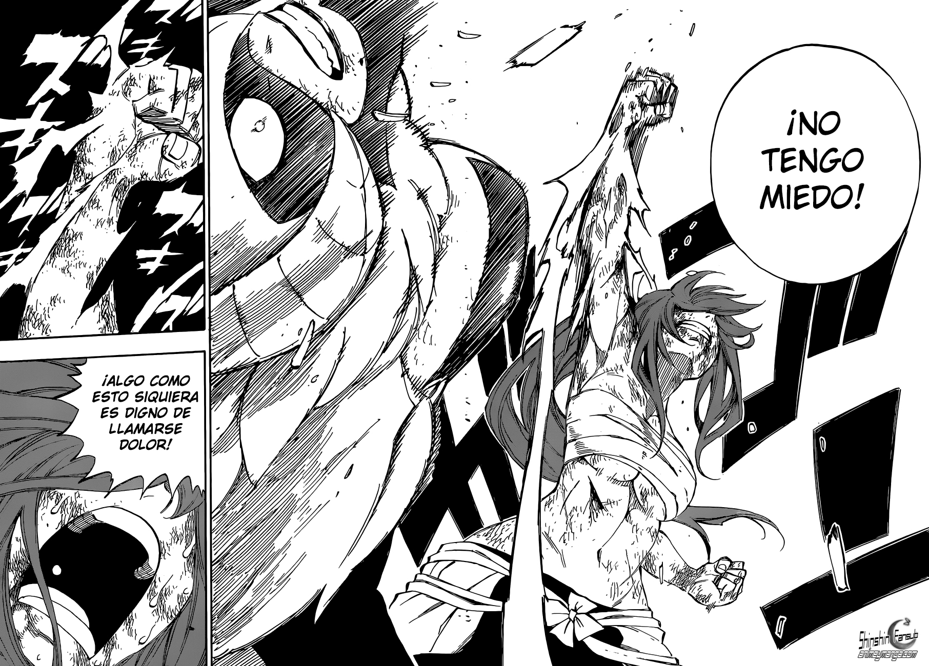 Read Fairy Tail es Manga Online