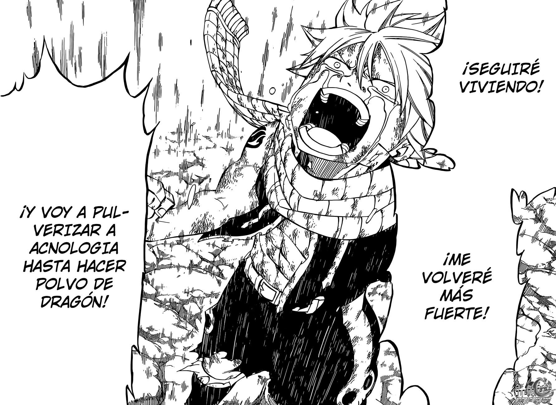Read Fairy Tail es Manga Online