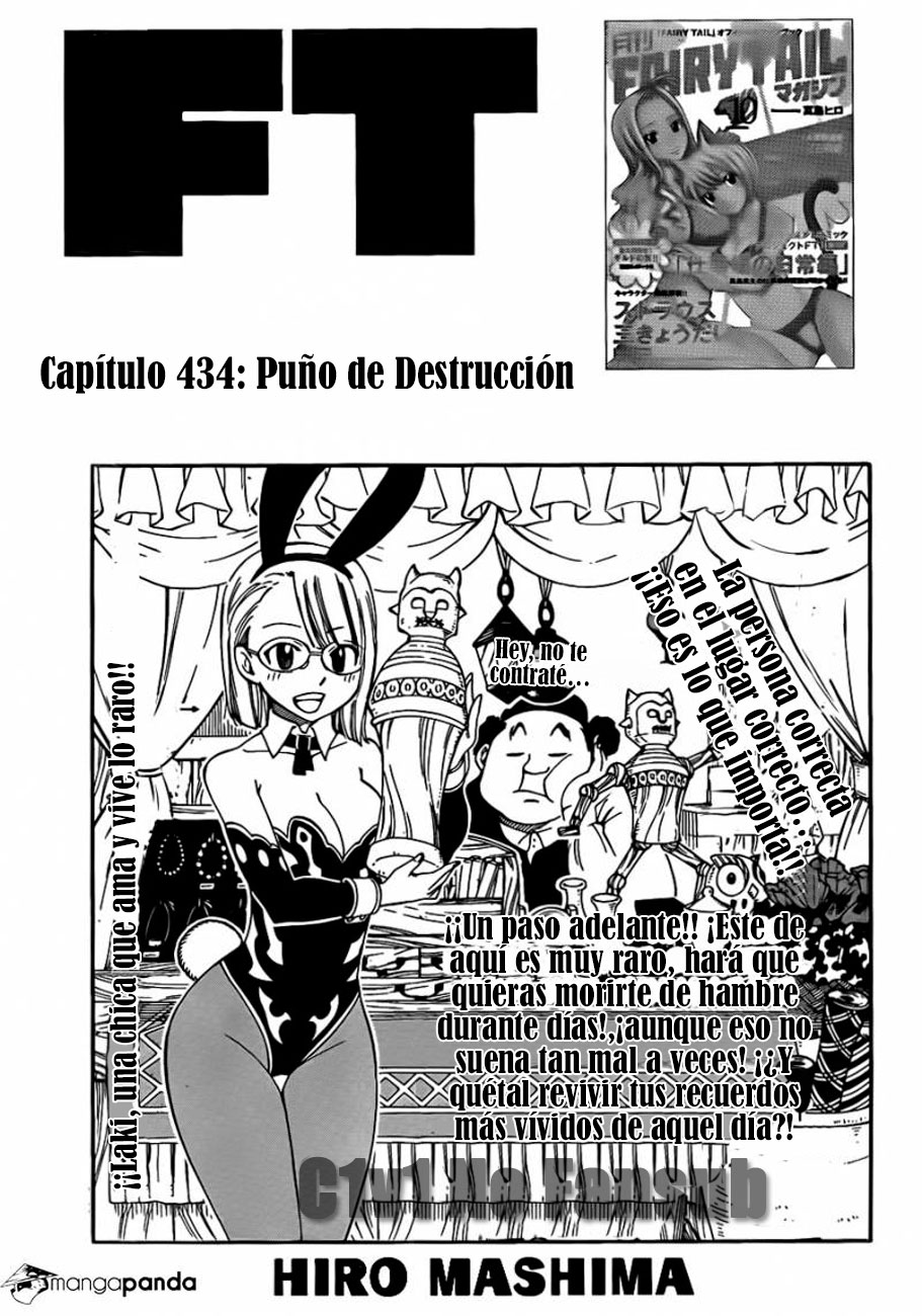 Read Fairy Tail es Manga Online
