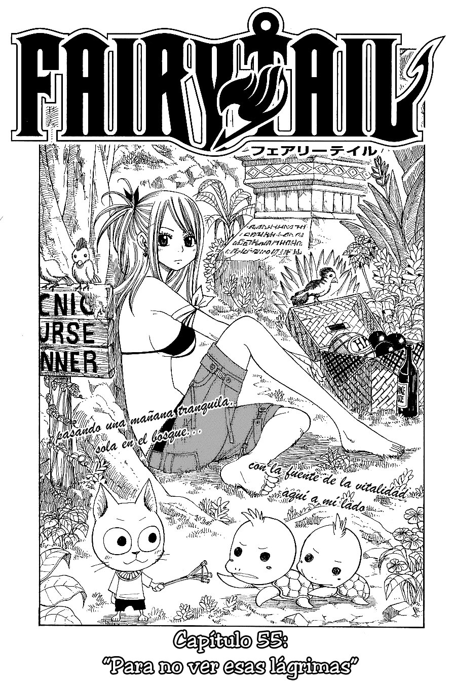 Read Fairy Tail es Manga Online