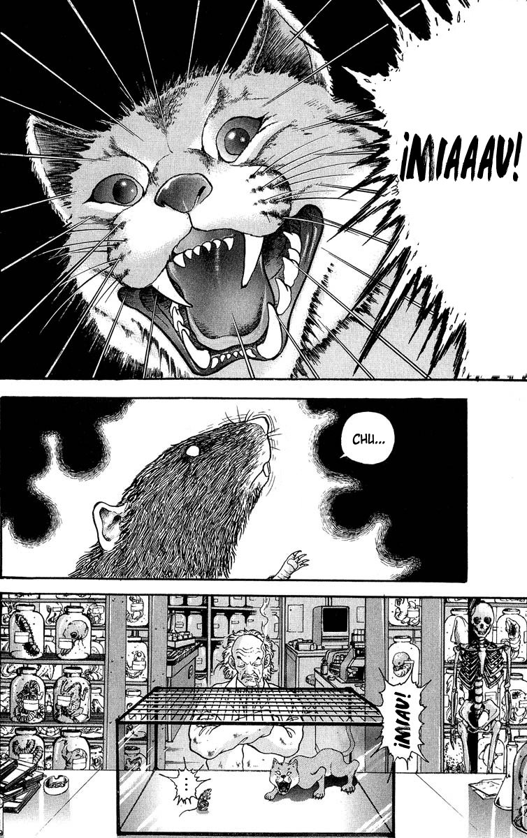 Read Grappler Baki es Manga Online