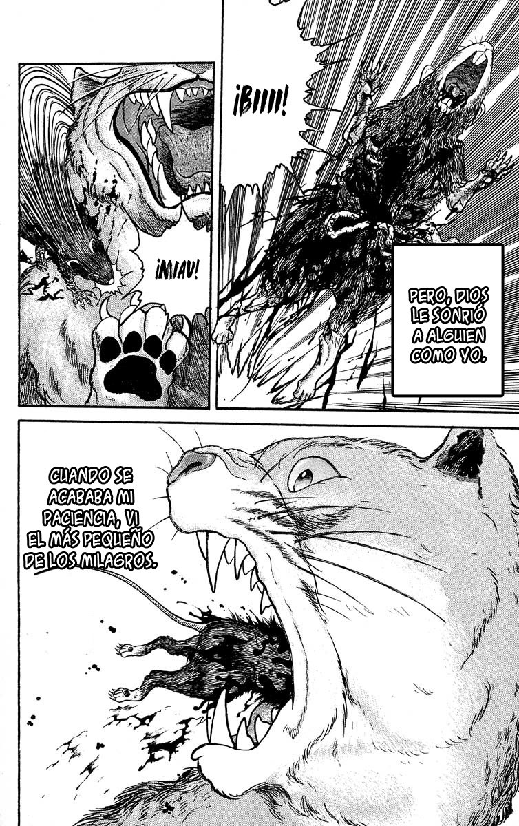 Read Grappler Baki es Manga Online