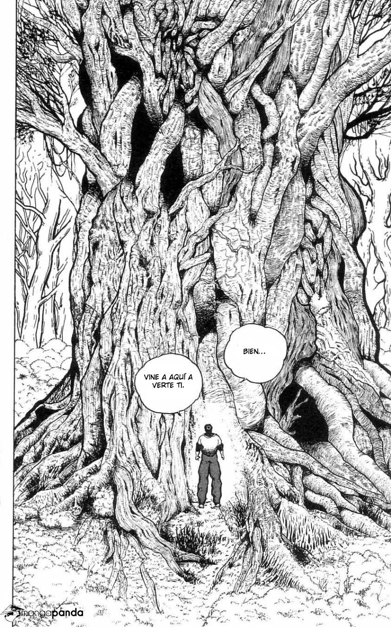 Read Grappler Baki es Manga Online