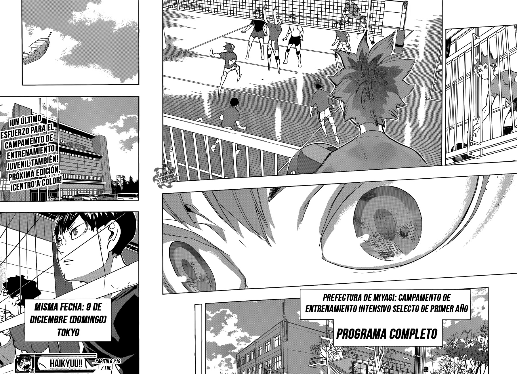 Read Haikyuu!! es Manga Online
