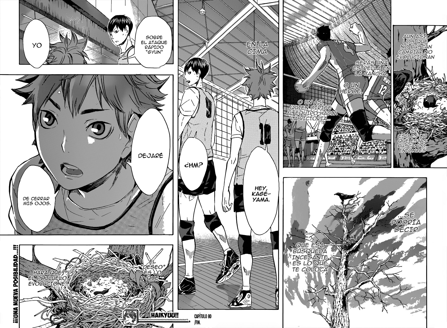 Read Haikyuu!! es Manga Online