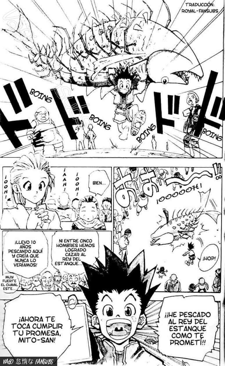 Read Hunter X Hunter es Manga Online