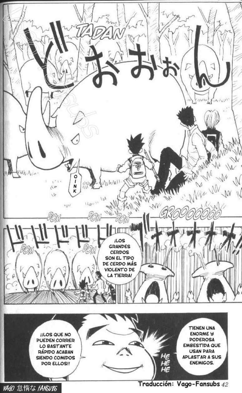 Read Hunter X Hunter es Manga Online