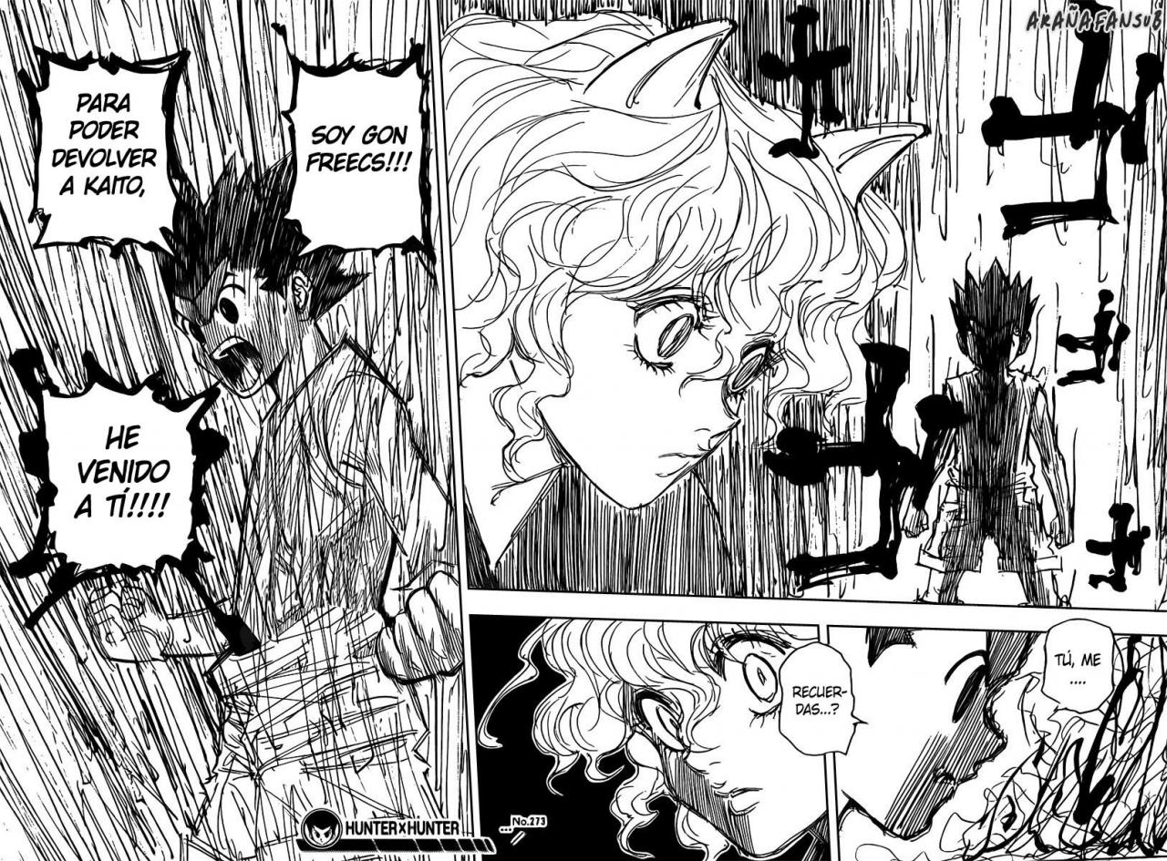 Read Hunter X Hunter es Manga Online