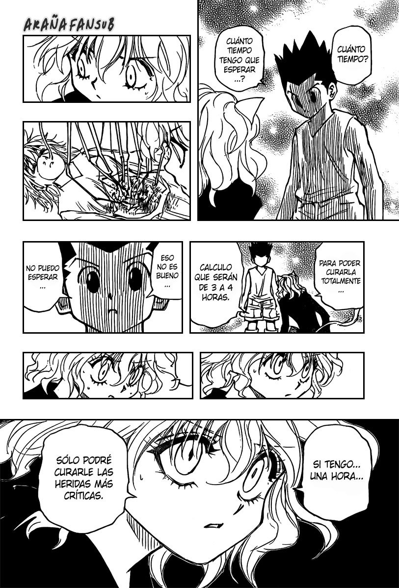 Read Hunter X Hunter es Manga Online