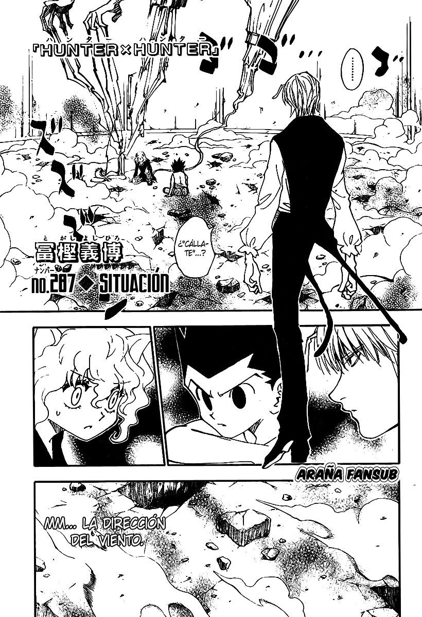Read Hunter X Hunter es Manga Online