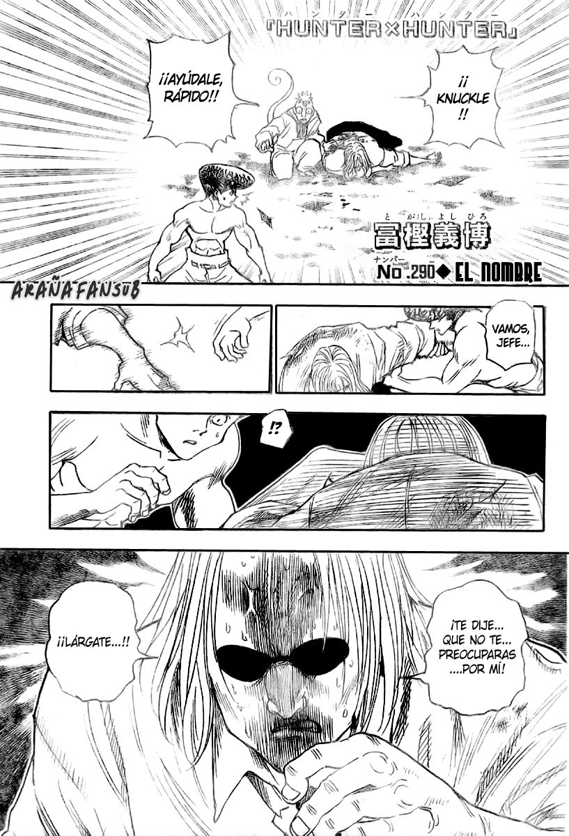 Read Hunter X Hunter es Manga Online