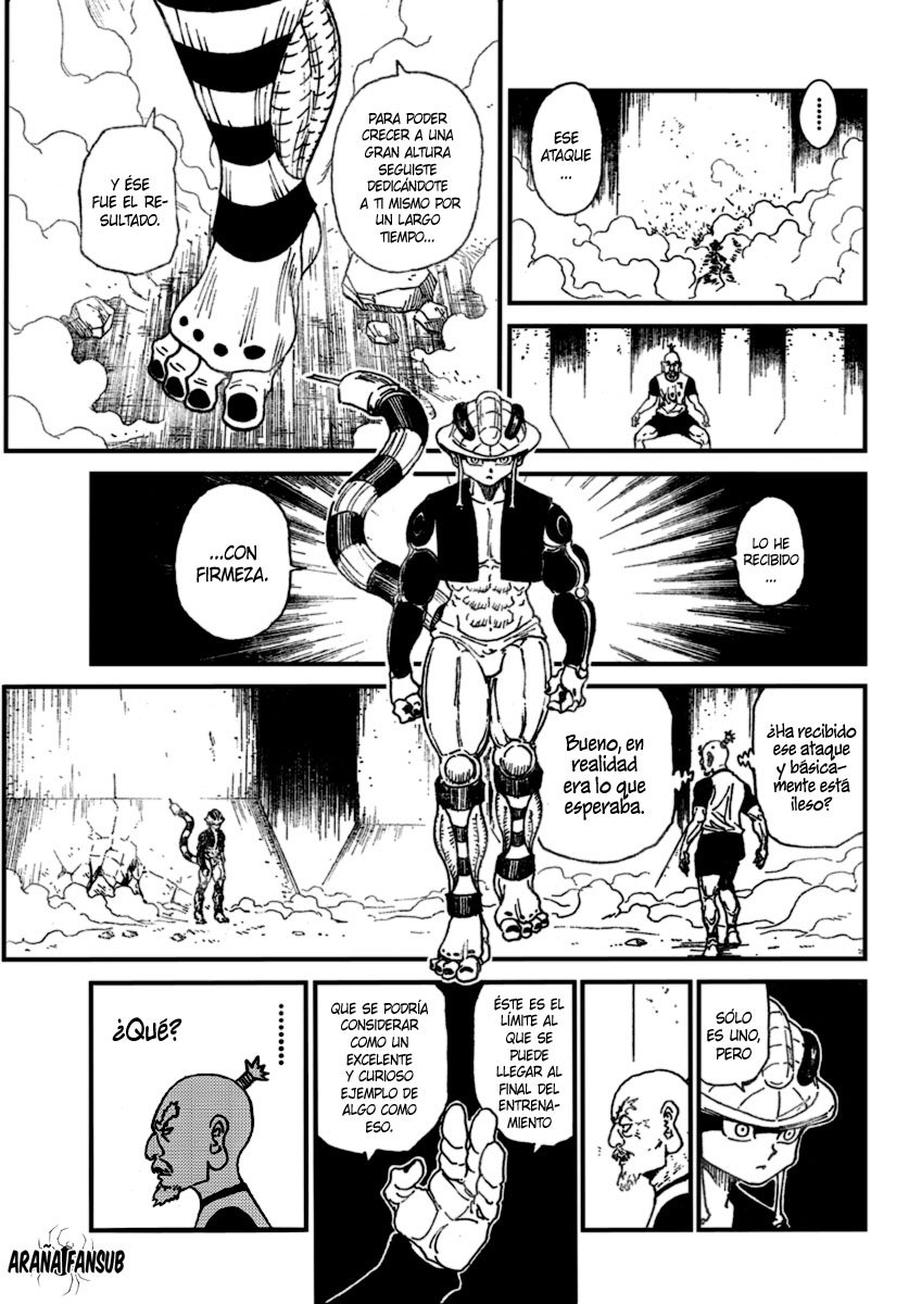 Read Hunter X Hunter es Manga Online