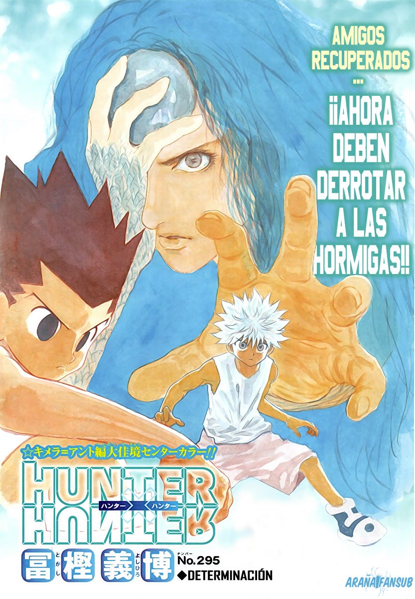 Read Hunter X Hunter es Manga Online