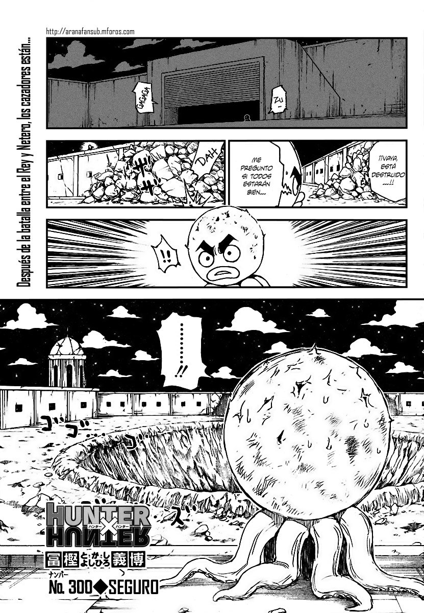 Read Hunter X Hunter es Manga Online