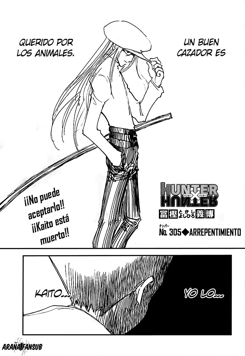 Read Hunter X Hunter es Manga Online