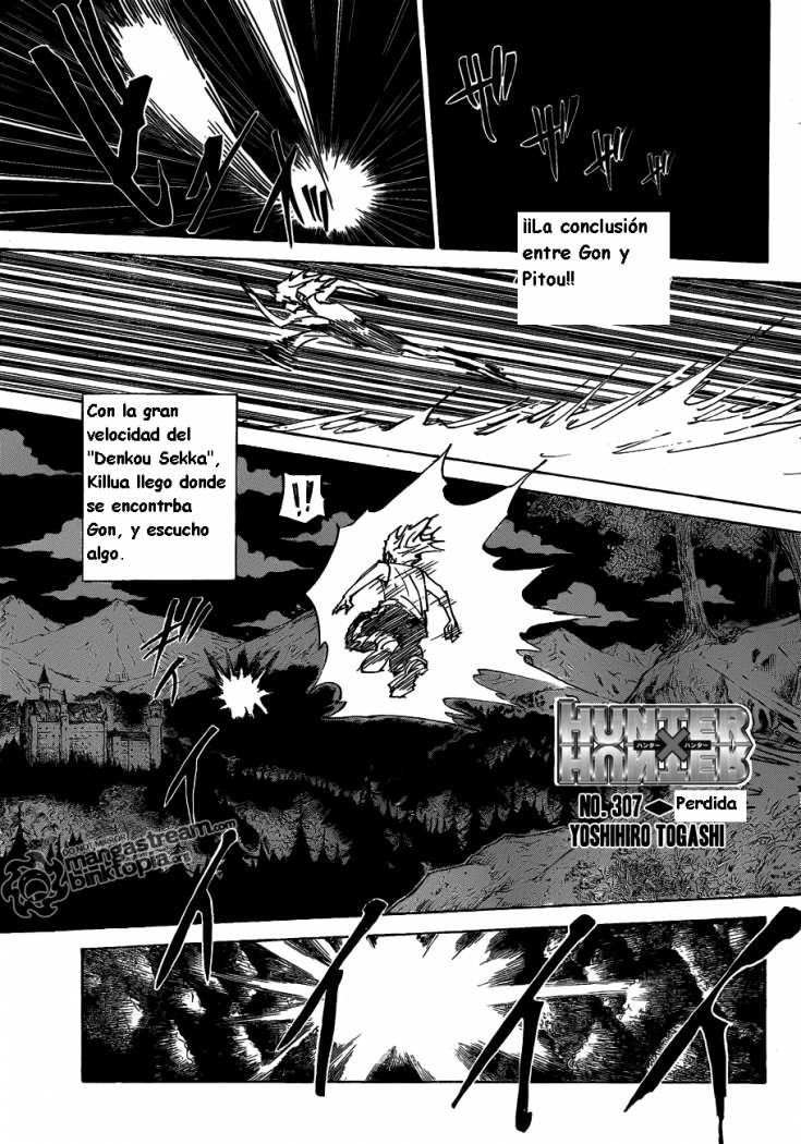 Read Hunter X Hunter es Manga Online