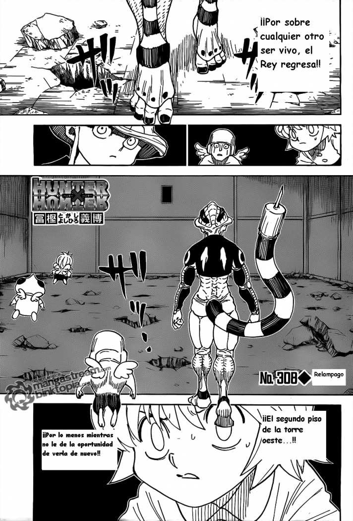 Read Hunter X Hunter es Manga Online