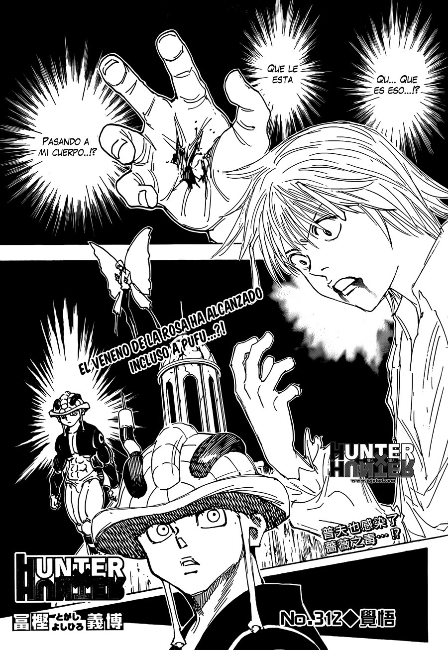 Read Hunter X Hunter es Manga Online