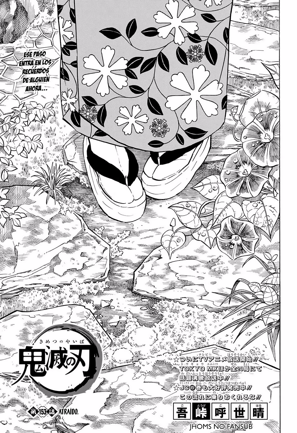 Read Kimetsu no Yaiba es Manga Online