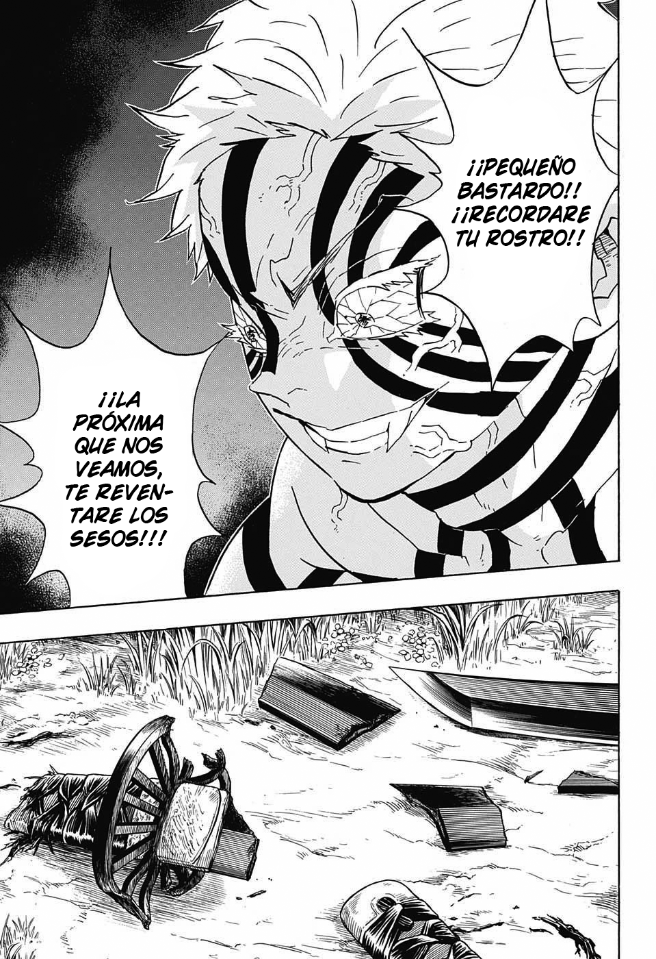 Read Kimetsu no Yaiba es Manga Online