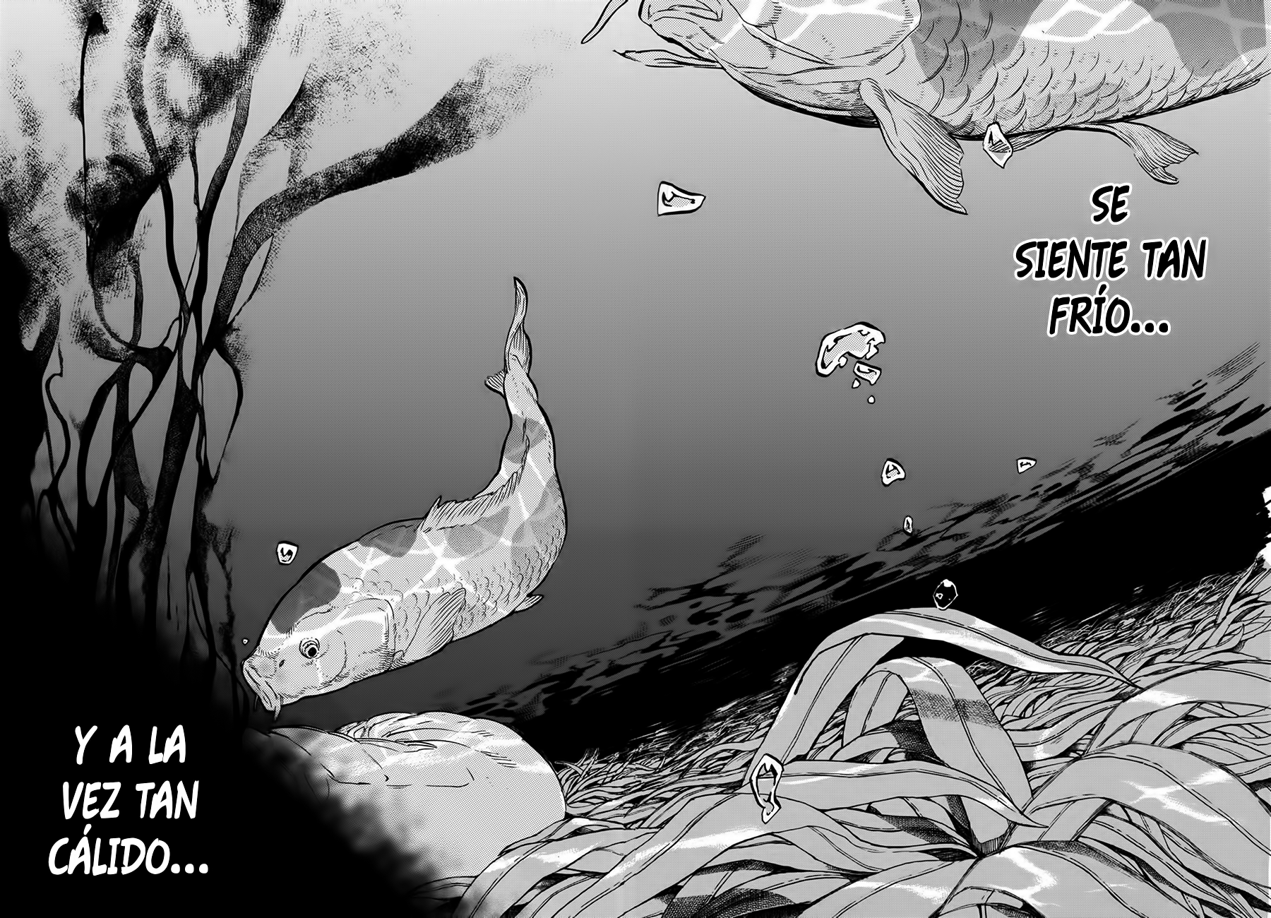 Read Koe no Katachi es Manga Online