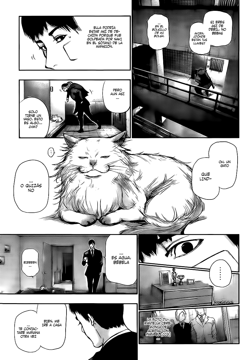 Read Tokyo Ghoul es Manga Online