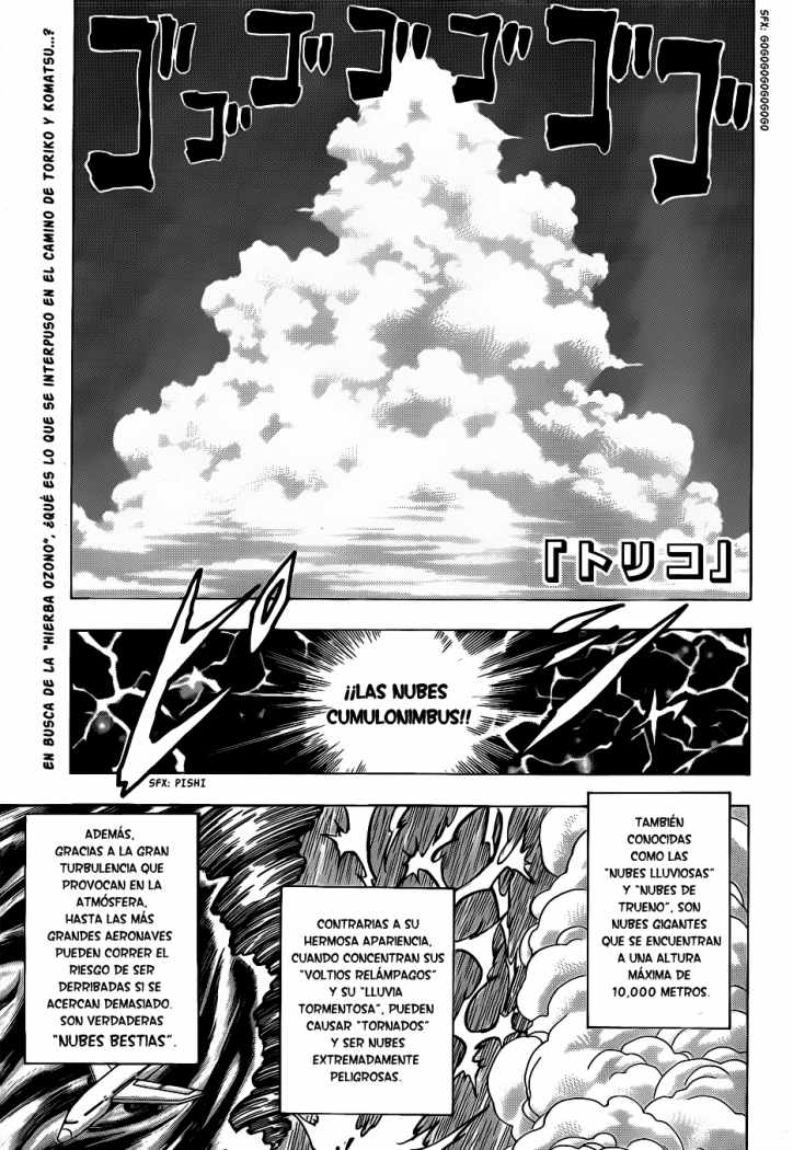 Read Toriko es Manga Online