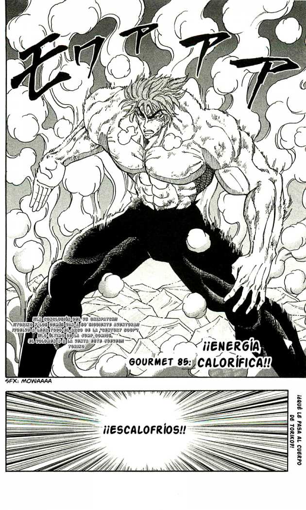 Read Toriko es Manga Online