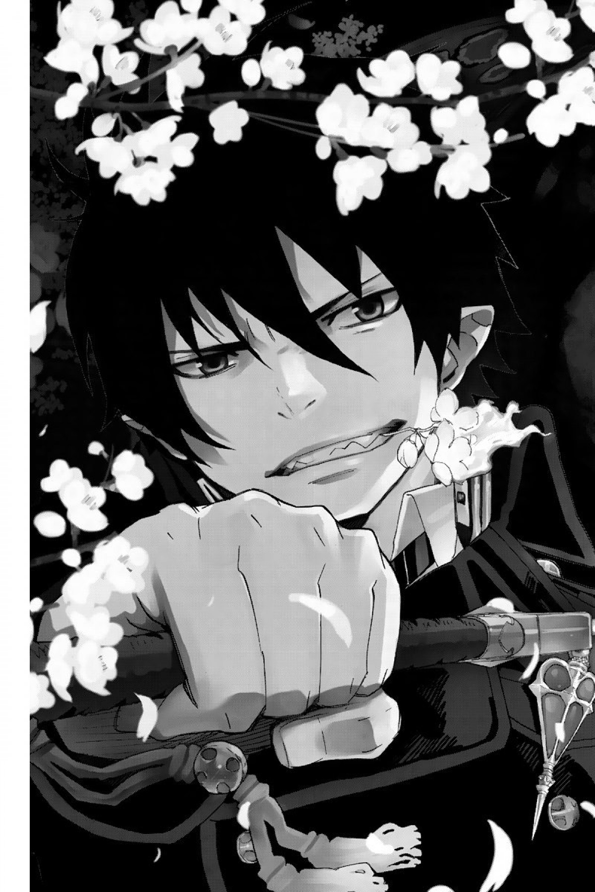 Read Ao No Exorcist fr Manga Online