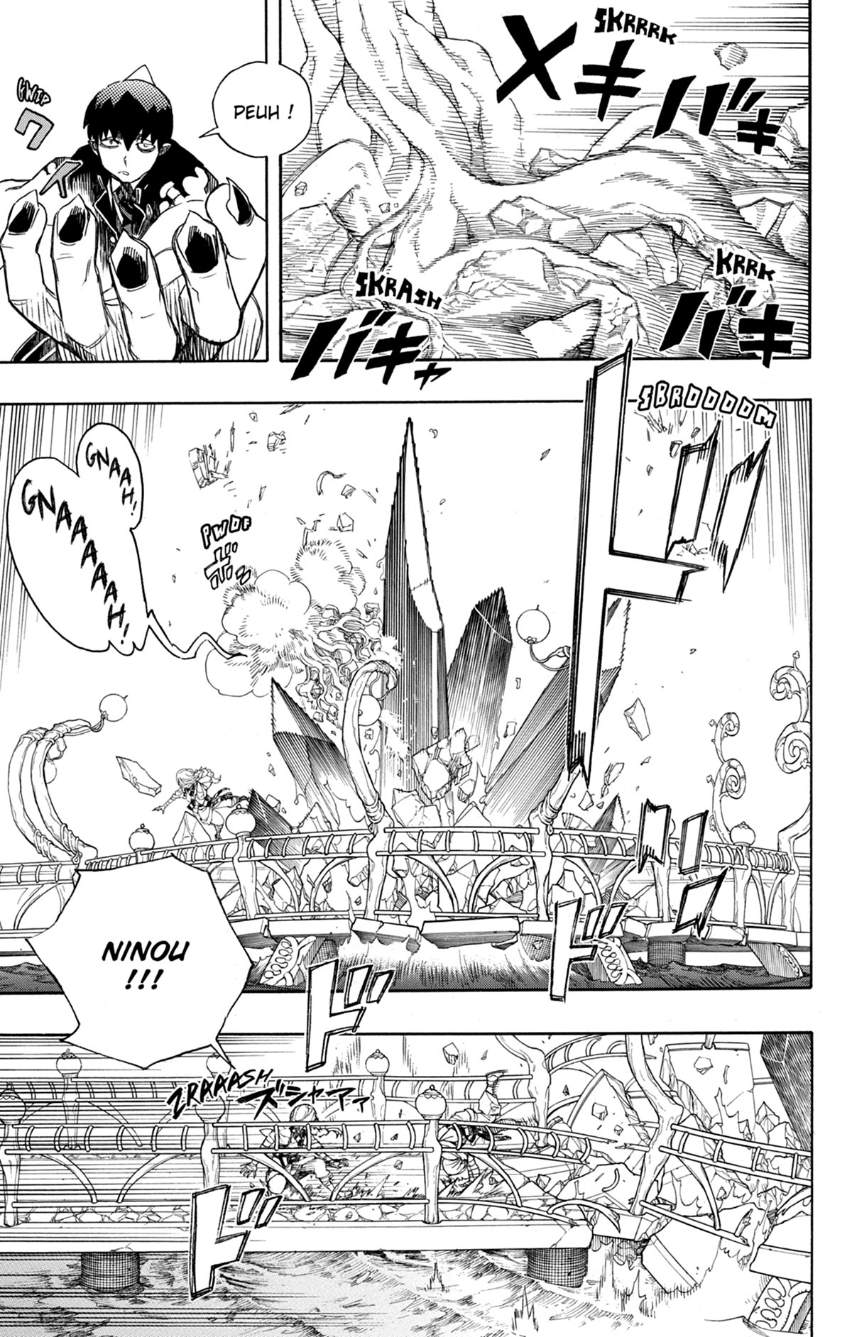 Read Ao No Exorcist fr Manga Online