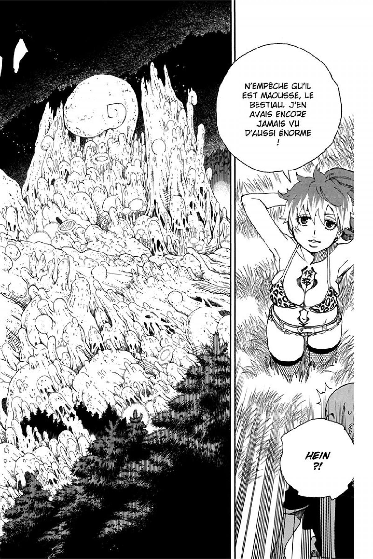 Read Ao No Exorcist fr Manga Online