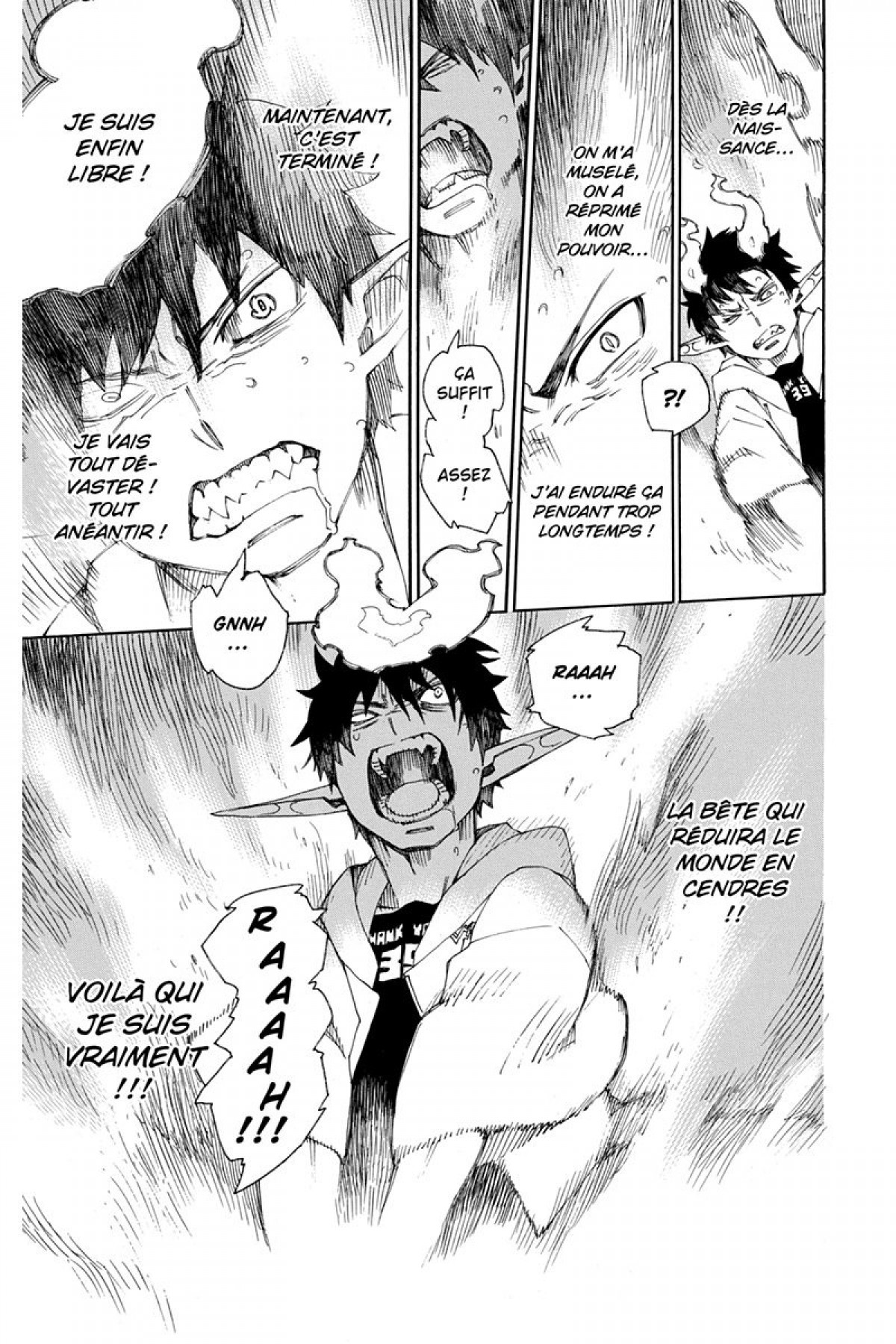 Read Ao No Exorcist fr Manga Online