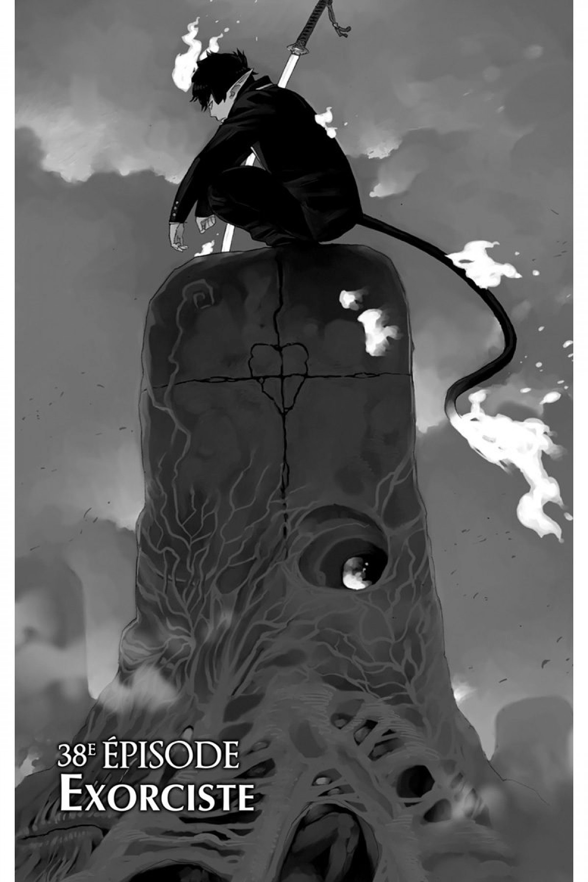 Read Ao No Exorcist fr Manga Online